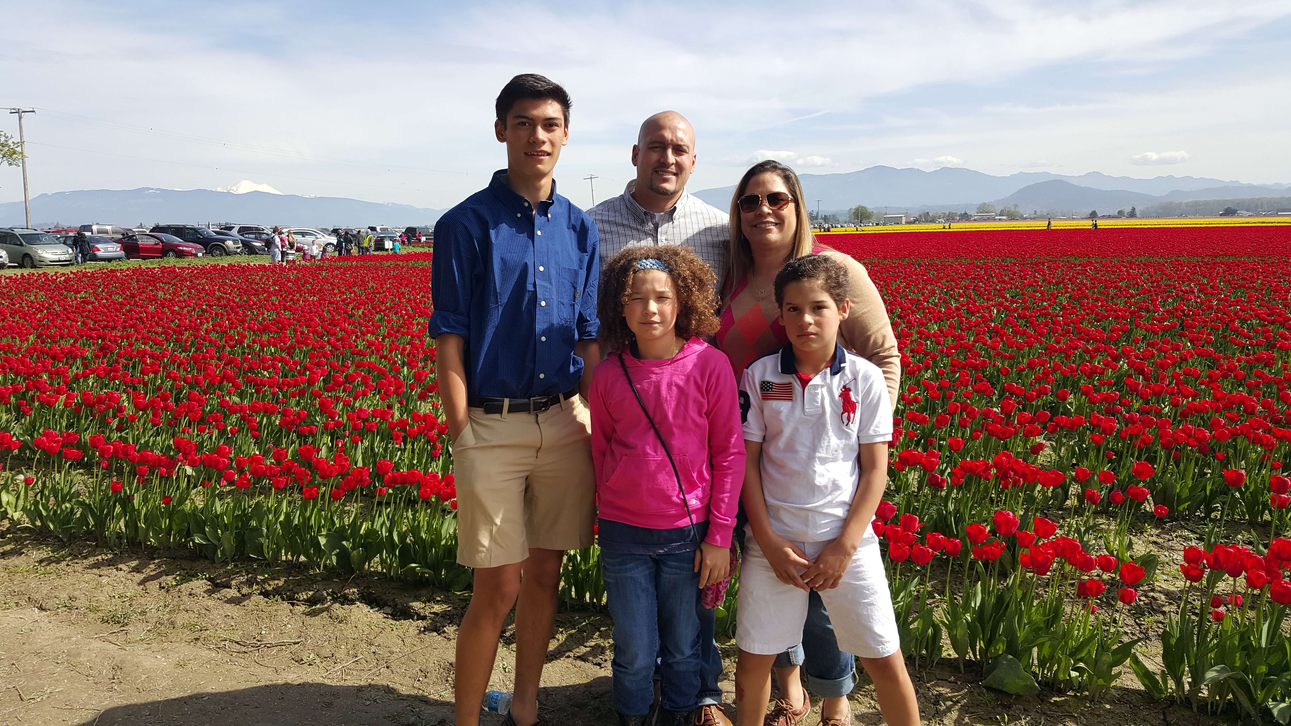 tulip fields in La Connor Washington